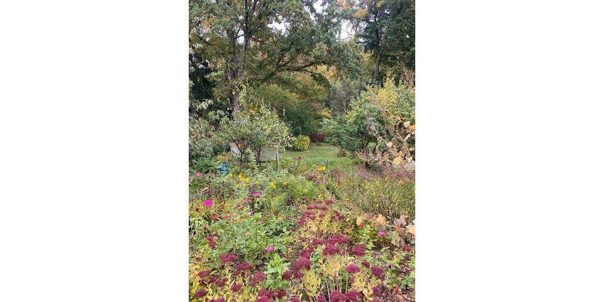 Einfamilienhaus Solingen Wald - 9 Zimmer, 160 m&sup2;, 560.000&euro; | Angebot:25831755