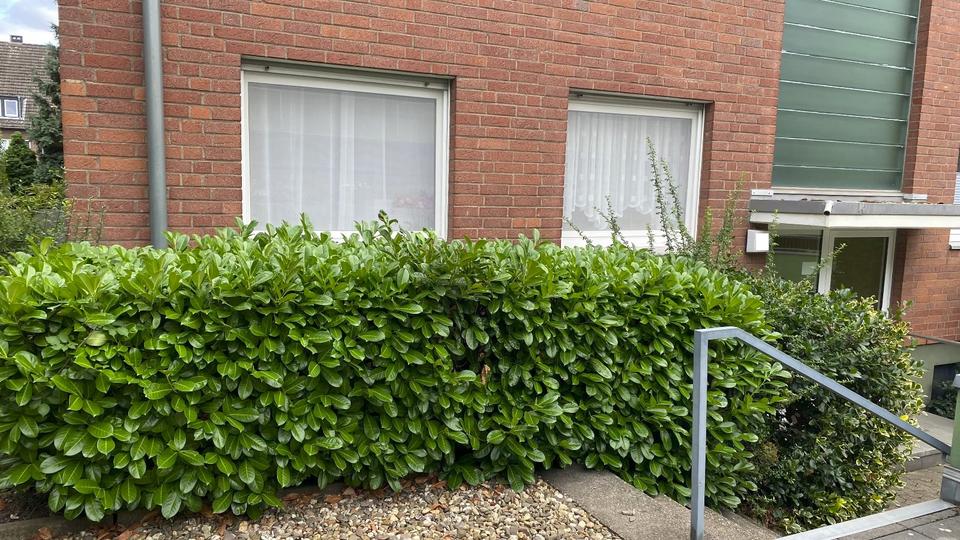Erdgeschoßwohnung Neuss Allerheiligen - 4 Zimmer, 88 m&sup2;, 269.000&euro; | Angebot:27499381