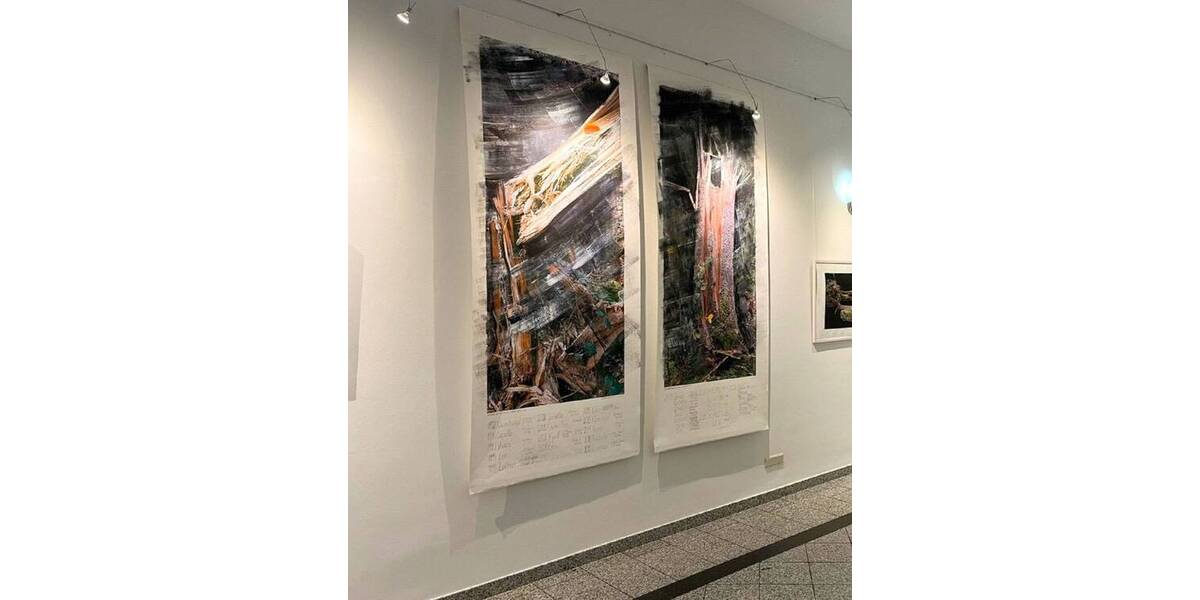 Gewerbeobjekt Wuppertal Elberfeld - 1 Zimmer, 364 m&sup2;, 4.150&euro; | Angebot:25747639