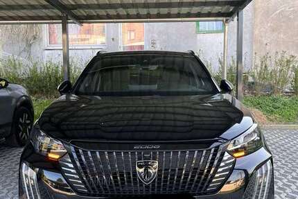 Peugeot 2008 23.000 km 23.590 &euro; Solingen 42719