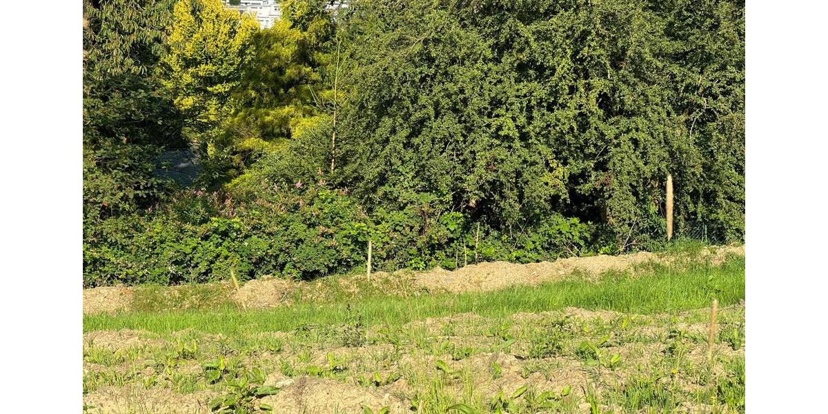 Grundstück Wuppertal Arrenberg - 540.000&euro; | Angebot:24843334