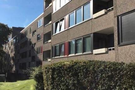 Wohnung Essen Stadtbezirk VII - 2 Zimmer, 65 m&sup2;, 498&euro; | Angebot:24424943