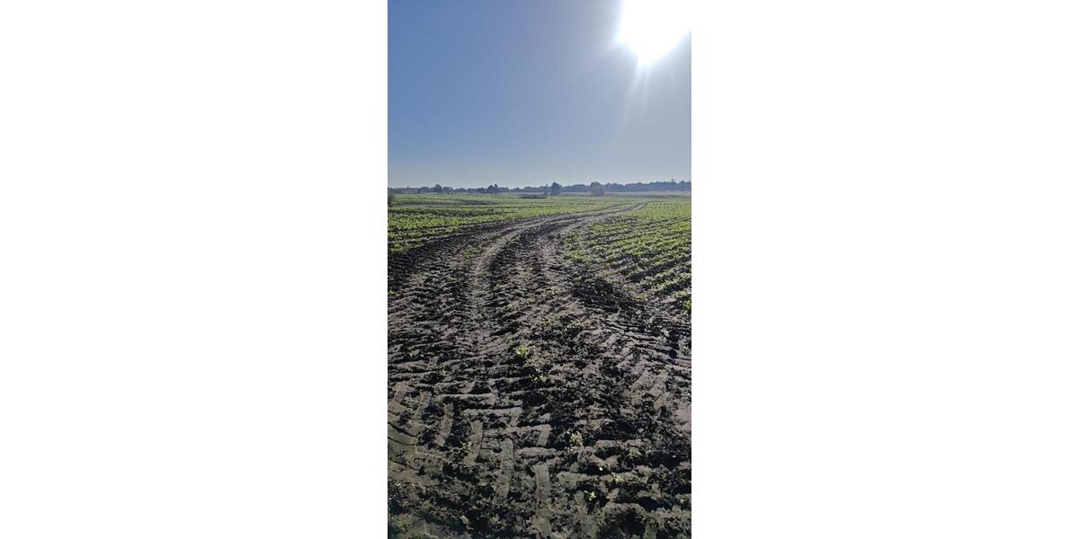 Grundstück Krefeld - 200&euro; | Angebot:25721120