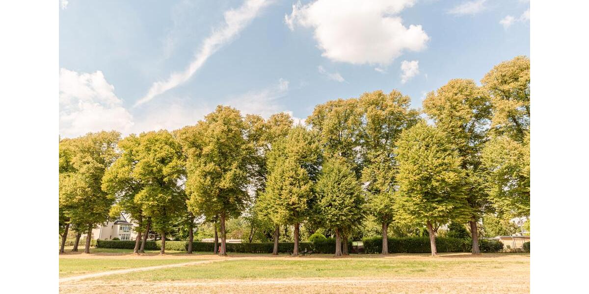 Erdgeschoßwohnung Düsseldorf Stadtbezirk 9 - 1 Zimmer, 32 m&sup2;, 220.000&euro; | Angebot:9220963