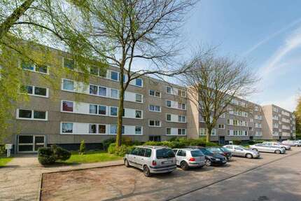 Wohnung Gelsenkirchen Hassel - 3 Zimmer, 75 m&sup2;, 499&euro; | Angebot:25539117