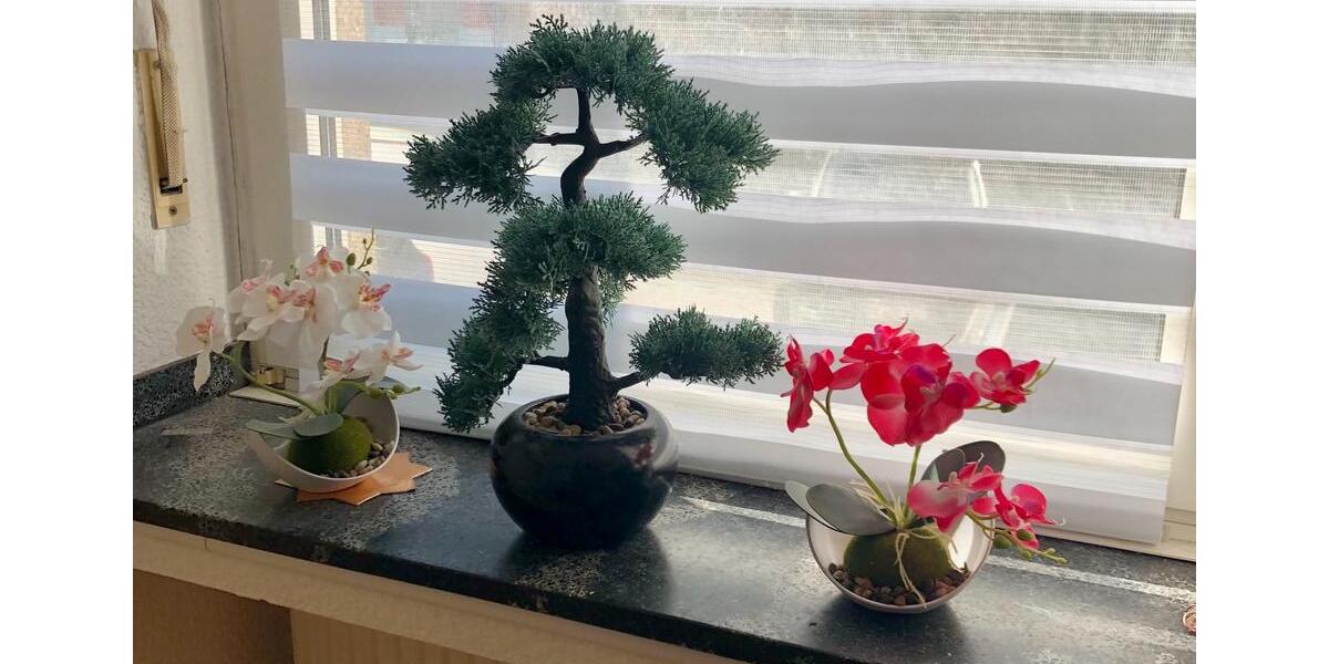 Erdgeschoßwohnung Düsseldorf Derendorf - 2 Zimmer, 45 m&sup2;, 198.000&euro; | Angebot:25943151