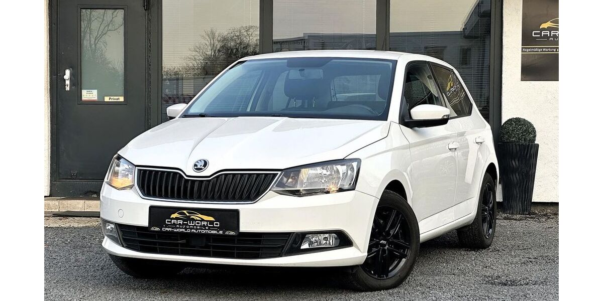 Skoda Fabia 135.748 km 7.999 &euro; Duisburg 47167