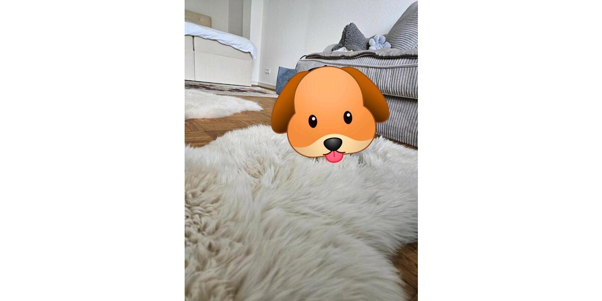 Etagenwohnung Düsseldorf Niederkassel - 1 Zimmer, 42 m&sup2;, 900&euro; | Angebot:26441328