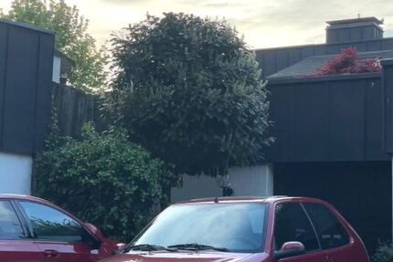 Citroen SAXO 86.000 km 1.000 &euro; Mettmann 40822