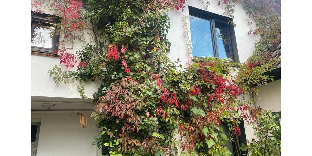 Einfamilienhaus Solingen Wald - 9 Zimmer, 160 m&sup2;, 560.000&euro; | Angebot:25831755