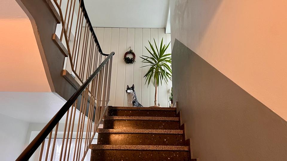 Etagenwohnung Oberhausen Biefang - 2.5 Zimmer, 48 m&sup2;, 500&euro; | Angebot:25655515