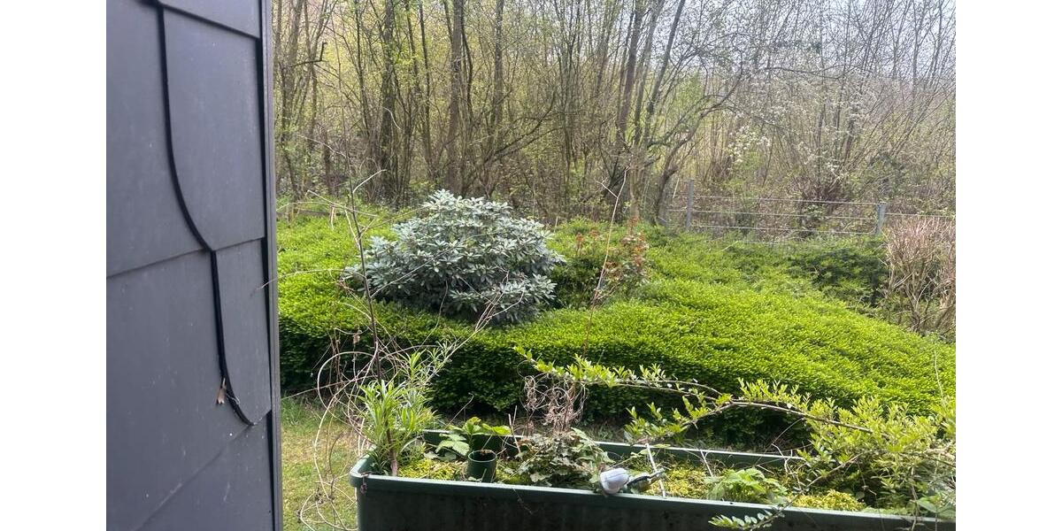 Etagenwohnung Wülfrath - 2 Zimmer, 65 m&sup2;, 680&euro; | Angebot:26008471